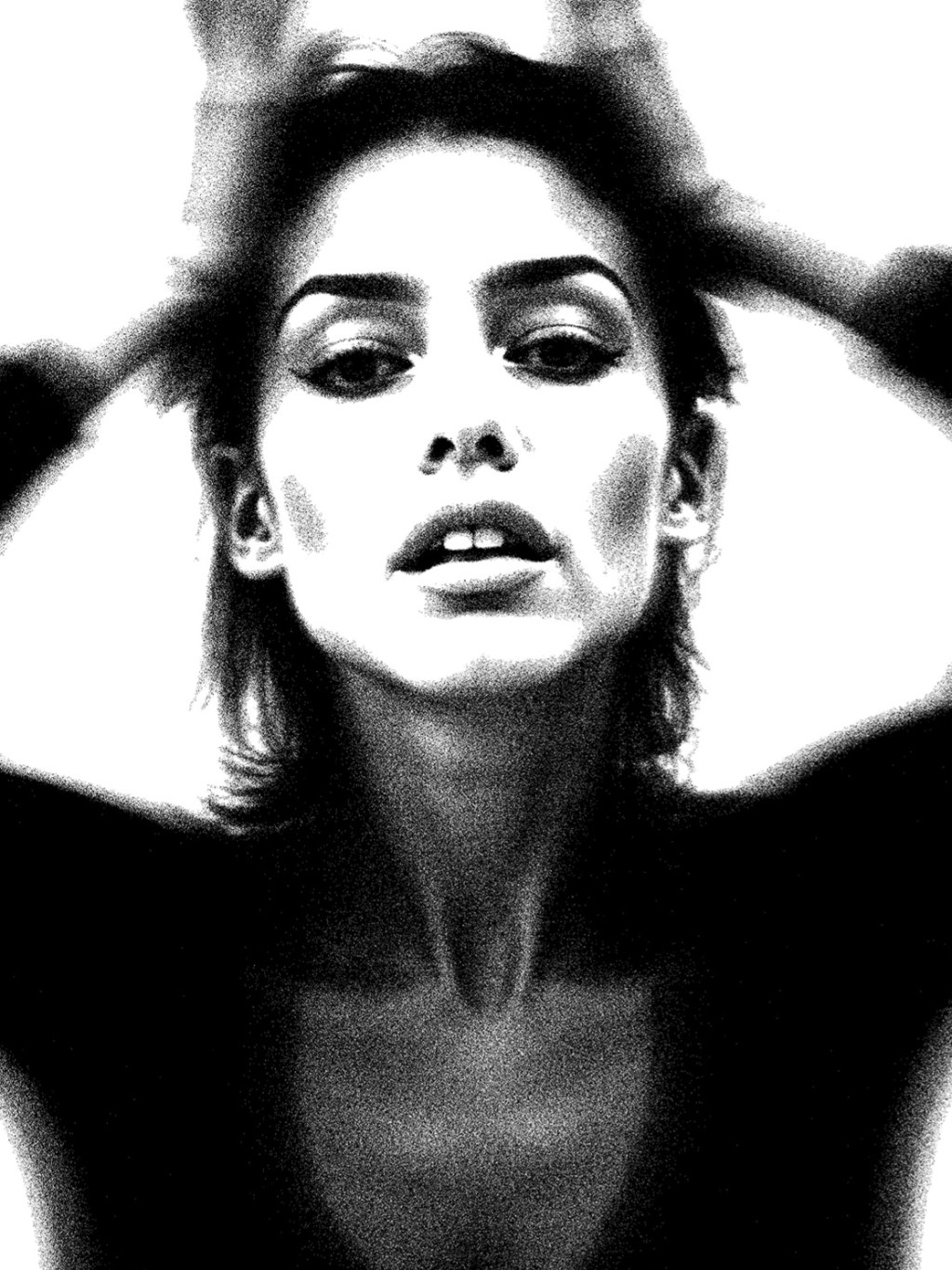 The Shape of&nbsp;Bold